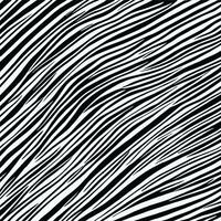 Zebra pattern striped line texture pattern illustration vector