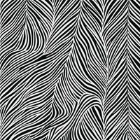 Zebra pattern striped line texture pattern illustration vector