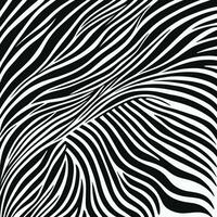 Zebra pattern striped line texture pattern illustration vector