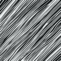 Zebra pattern striped line texture pattern illustration vector