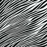 Zebra pattern striped line texture pattern illustration vector