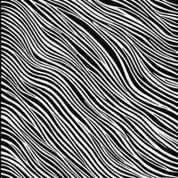 Zebra pattern striped line texture pattern illustration vector