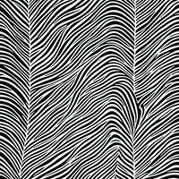 Zebra pattern striped line texture pattern illustration vector