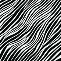 Zebra pattern striped line texture pattern illustration vector