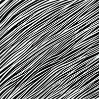 Zebra pattern striped line texture pattern illustration vector