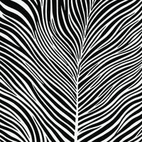 Zebra pattern striped line texture pattern illustration vector