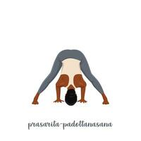 Woman doing prasarita padottanasana position. Wide legged forward bend pose. vector