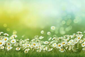 AI generated Beautiful wild flowers chamomile. Spring summer background. Landscape wide format, copy space, warm green colors. generative ai. photo