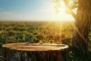 AI generated Wood Podium for products on natural background with sunlight. generative ai. photo