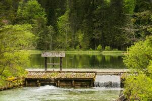 view to a sluice on a pond with green nature named schiederweiher in upper austria photo