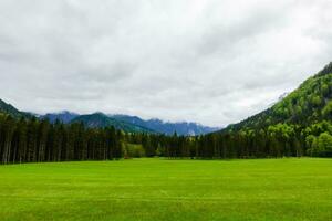 green meadow with a forest and mountains with dense clouds after rain photo