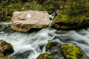 rock in a rushing torrent during hiking in a forest photo