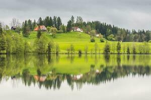 increíble reflexiones en un lago con verde prado arboles y casas foto