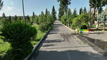 une route avec des arbres et des buissons sur tous les deux côtés video