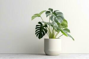 AI generated Potted plant on isolated white background. AI Generated photo