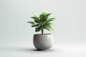 AI generated Potted plant on isolated white background. AI Generated photo