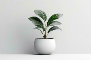 AI generated Potted plant on isolated white background. AI Generated photo