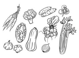 Spring vegetables. Hand drawn doodle set. Sketchy black outline popular veggies on white background. Ideal for coloring pages, tattoo, pattern vector