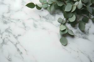 AI generated Branches of eucalyptus leaves on a marble background photo