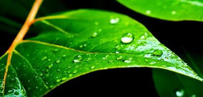 AI generated Close up macro photography of wet leaves in the rainy season. photo