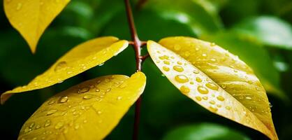 AI generated Close up macro photography of wet leaves in the rainy season. photo