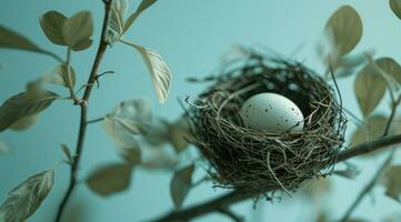 AI generated a bird nesting a blue egg on blue background photo