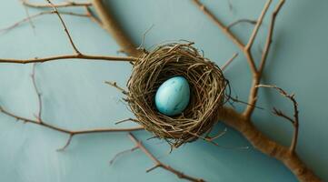 AI generated a bird nesting a blue egg on blue background photo
