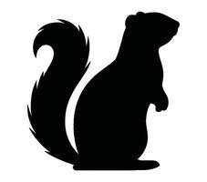 Vector graphic of african ground squirrel.