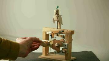 parrot flaps its wings turns its head, funny wooden toy, automaton video