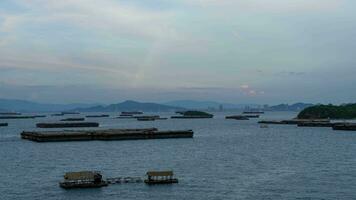 Time Lapse of Cargo Ship and Barge in Ocean Bay at Sunset video