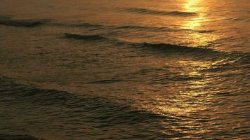 Golf spatten in zonsopkomst of zonsondergang Aan een tropisch strand. video