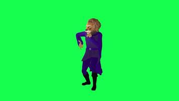 3D animated lion in purple dress rapping from front angle isolated on green video