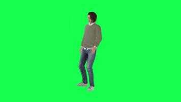 A girl with a normal body and a tall height in the green screen with light and w video