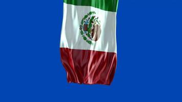 The flag of mexico waving in the wind video