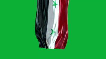 il bandiera di Siria agitando nel il vento video