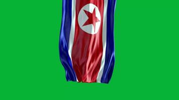 el bandera de norte Corea ondulación en el viento video