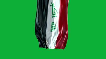 The flag of iraq waving in the wind video