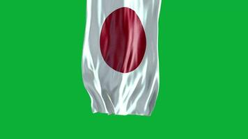 The flag of japan is waving in the wind video