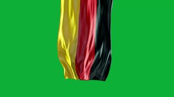 el bandera de Alemania ondulación en el viento video