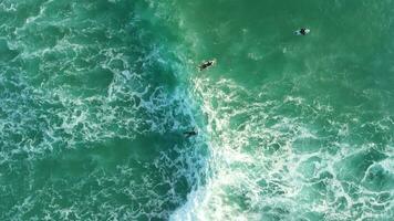 Surfer Rudern auf Linie oben im Ozean mit perfekt Wellen. Antenne Aussicht von Ozean mit Schaum und Surfer video