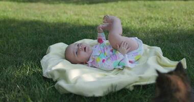 Baby looking at the cats in garden on the lawn. Cute baby communication with cat video