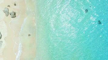 Man run on beach and jump to the ocean in sunny day. Aerial view. Top view video