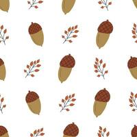 Hand drawn acorn with plant, autumn seamless pattern on white background. Fall botany pattern. Cute acorn drawing. vector