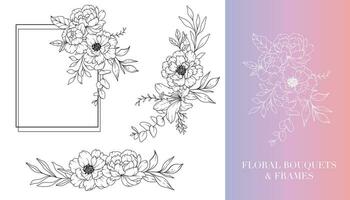 Peony Line Drawing. Floral Frames and Bouquets. Floral Line Art. Fine Line Peony Frames Hand Drawn Illustration. Hand Drawn Outline Magnolias. Botanical Coloring Page. Peony Isolated vector