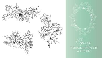 primavera flores línea dibujo. floral marcos y ramos de flores floral línea Arte. multa línea primavera marcos mano dibujado ilustración. mano dibujado contorno flores Boda invitaciones y tarjetas diseño elemento vector