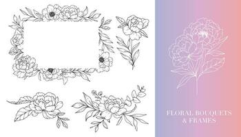 Peony Line Drawing. Floral Frames and Bouquets. Floral Line Art. Fine Line Peony Frames Hand Drawn Illustration. Hand Drawn Outline Magnolias. Botanical Coloring Page. Peony Isolated vector