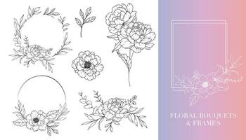 Peony Line Drawing. Floral Frames and Bouquets. Floral Line Art. Fine Line Peony Frames Hand Drawn Illustration. Hand Drawn Outline Magnolias. Botanical Coloring Page. Peony Isolated vector