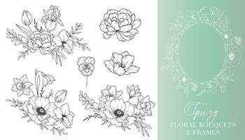 primavera flores línea dibujo. floral marcos y ramos de flores floral línea Arte. multa línea primavera marcos mano dibujado ilustración. mano dibujado contorno flores Boda invitaciones y tarjetas diseño elemento vector