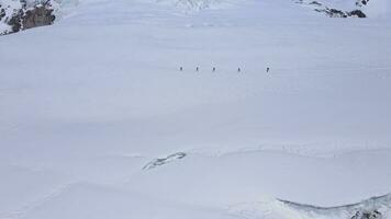 grupo de esquiadores a Nevado recurso planeo mediante invierno preguntarse Nevado recurso anidado entre majestuoso montañas. Nevado recurso paraíso de prístino nieve y escarcha danza en nieve con montañas silencio canción. video