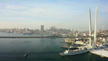 aéreo. estaiada ponte e panorama do a dourado chifre baía dentro Vladivostok video